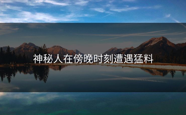 神秘人在傍晚时刻遭遇猛料