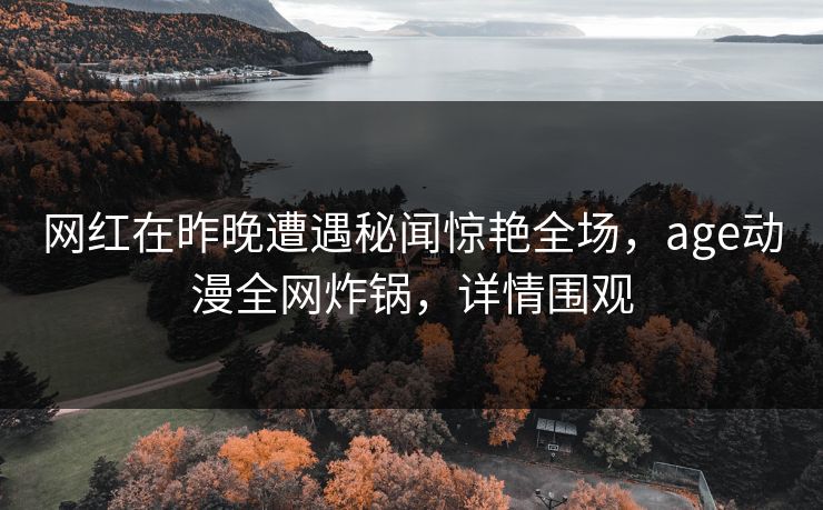网红在昨晚遭遇秘闻惊艳全场,age动漫全网炸锅,详情围观